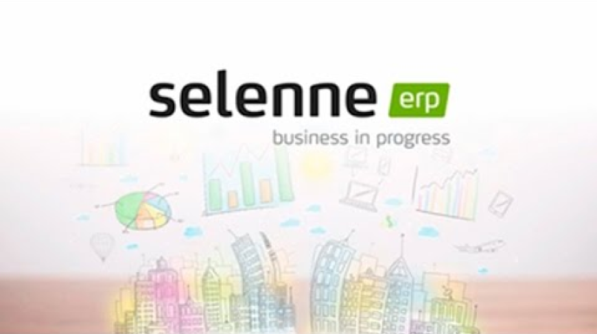 Vídeo explicativo del erp para gestión de proyectos