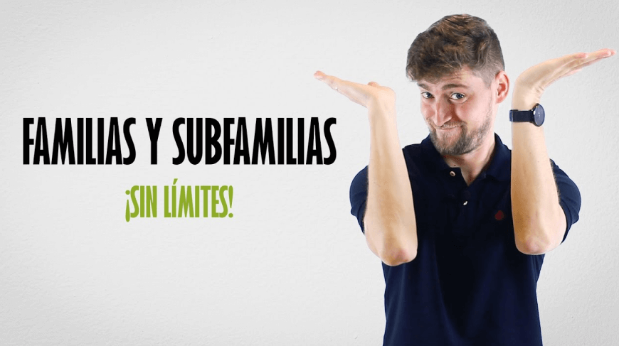 Vídeo explicativo de familias y subfamilias