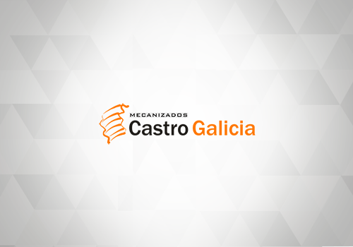 Cliente Selenne ERP- Castro Galicia