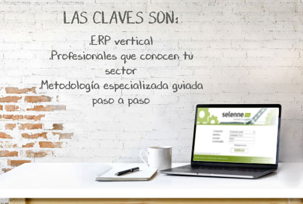 erp vertical profesional